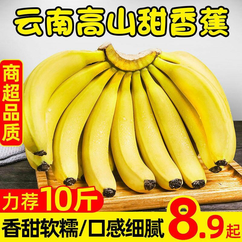 云南高山香甜大香蕉新鲜当季水果应季甜糯香蕉芭蕉自然熟非苹