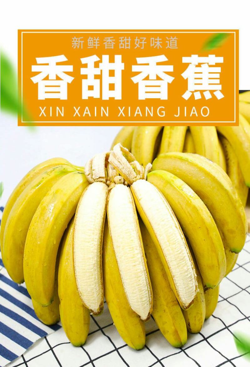 云南高山香甜大香蕉新鲜当季水果应季甜糯香蕉芭蕉自然熟非苹