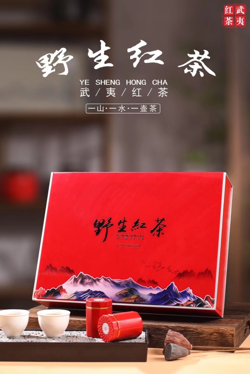 野生红茶正山小种茶叶武夷红茶小罐装茶叶350g