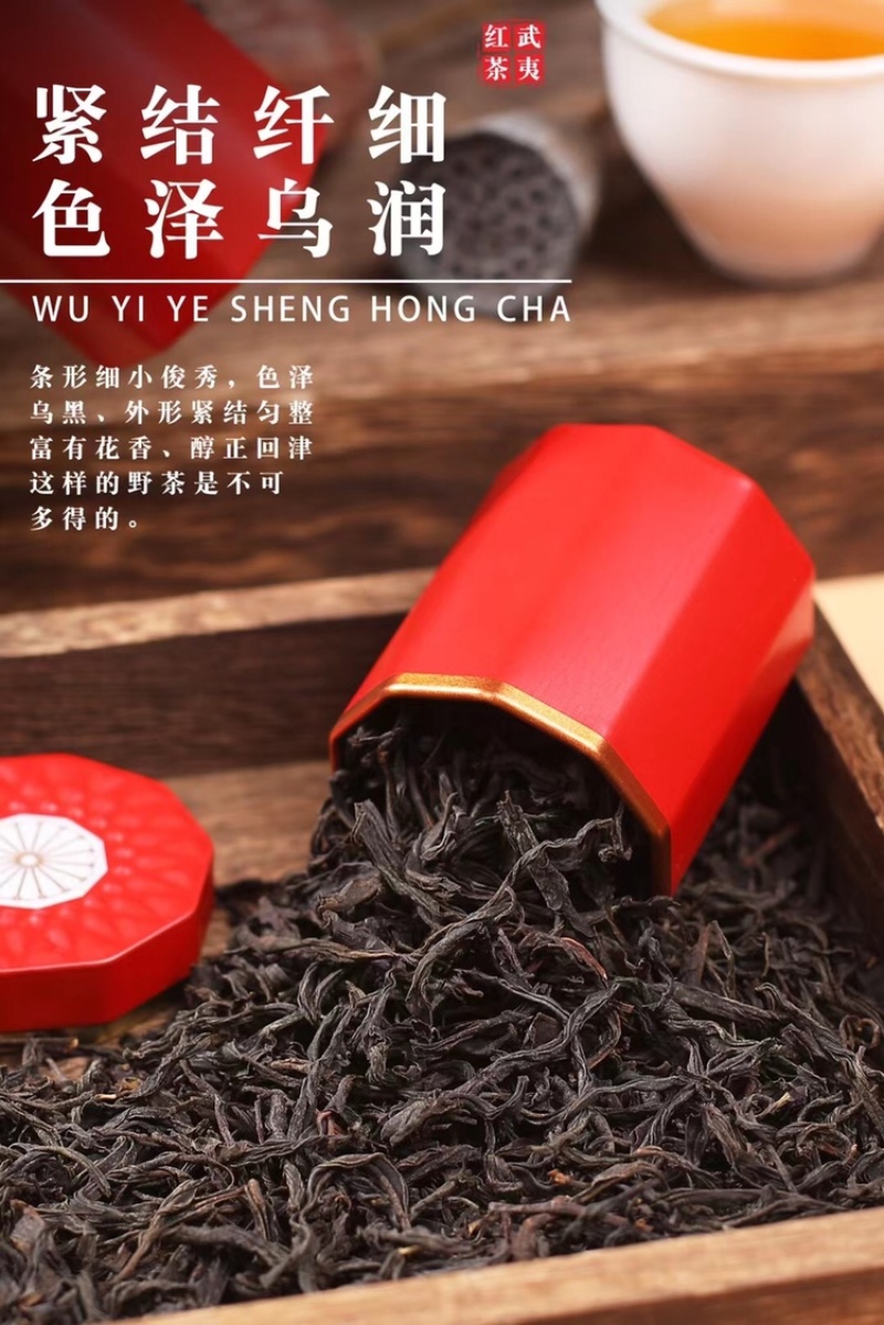 野生红茶正山小种茶叶武夷红茶小罐装茶叶350g