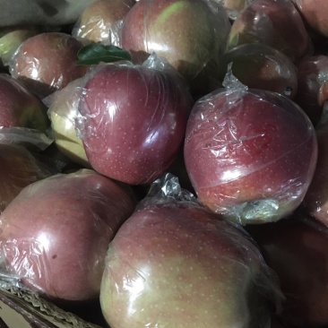 中秋王🍎苹果、请说一亩田苹果产地直销量大价格低质量好、