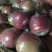 中秋王🍎、北海道苹果产地直销量大价格低质量好！