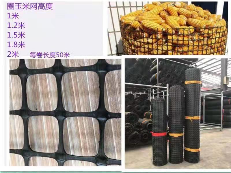 圈玉米网