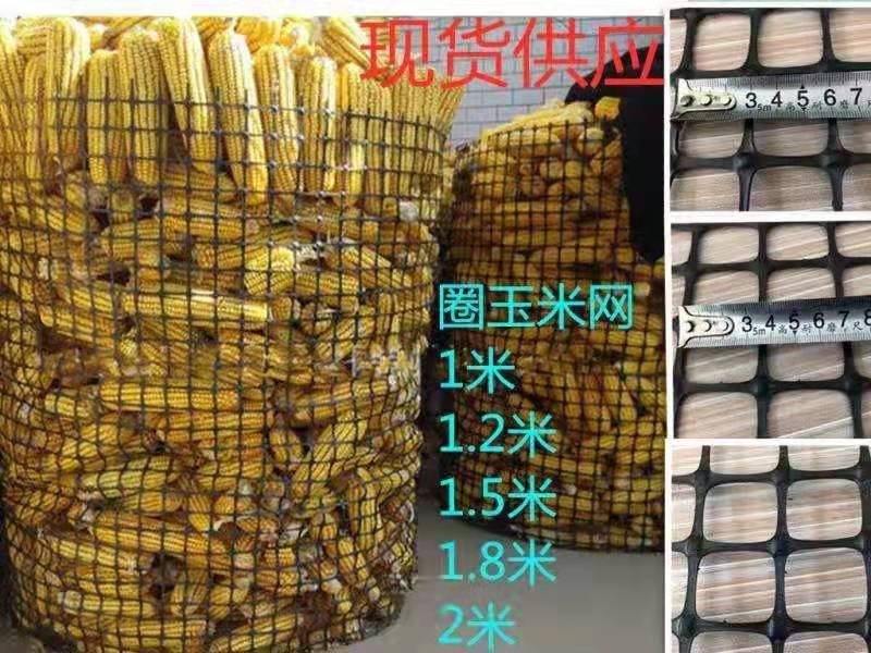 圈玉米网