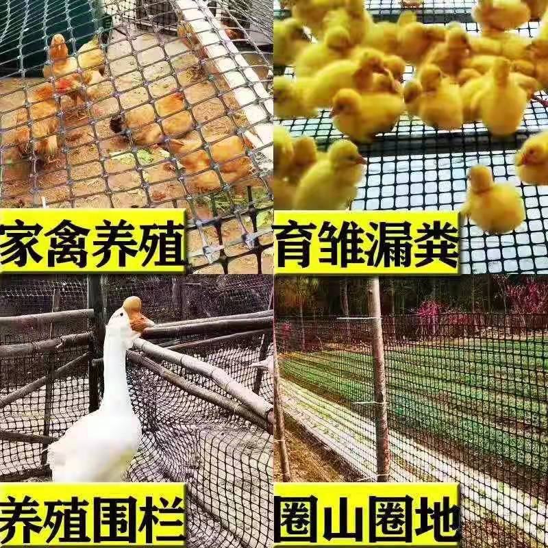 圈玉米网