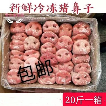 新鲜冷冻猪鼻子带骨猪拱嘴20斤家用饭店卤菜食材包邮