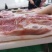 生鲜冷冻后上肉后上肉条带皮后五花肉食堂饭店食材