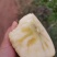 大凉山盐源县丑苹果脆甜多汁欢迎大家来电咨询