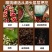 蓝山纯黑咖啡特浓减脂无蔗糖0脂肪燃脂无糖速溶咖啡