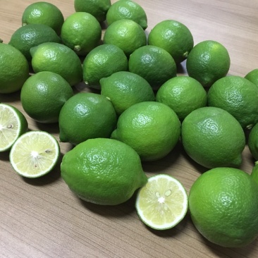 大量供应尤力克青柠檬，1万斤/天
