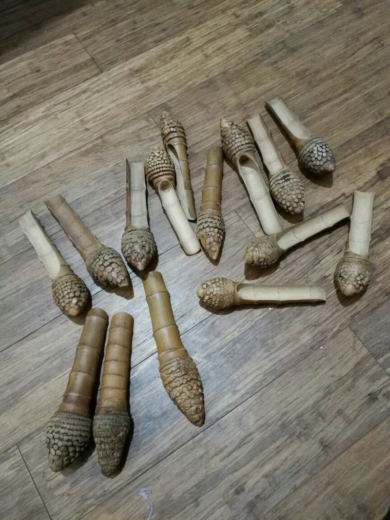 毛楠竹根