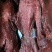 酱香大块肉，纯手工制作，下酒必备好菜，先到先得