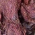 酱香大块肉，纯手工制作，下酒必备好菜，先到先得