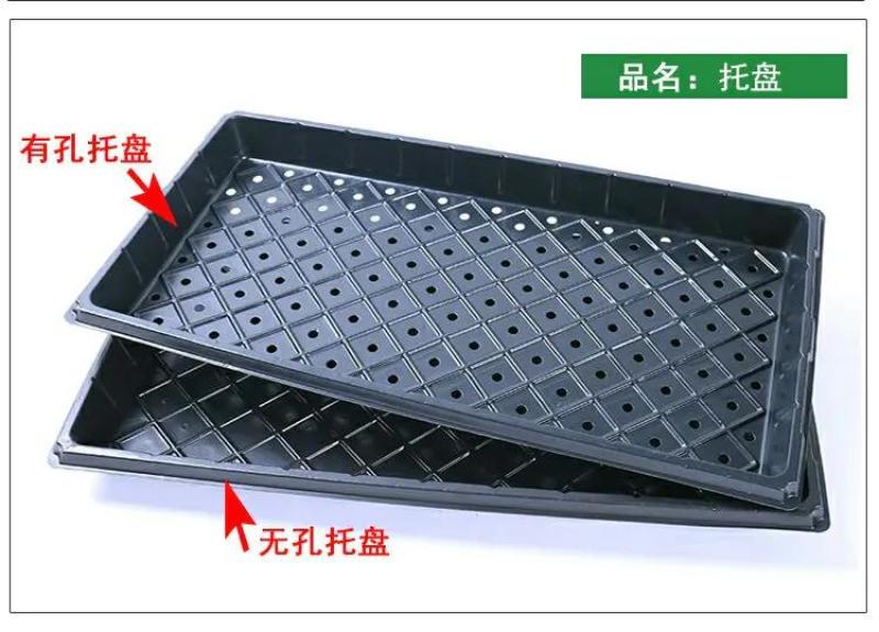 育苗盘林木穴盘加厚加深32孔50孔无孔有孔平盘