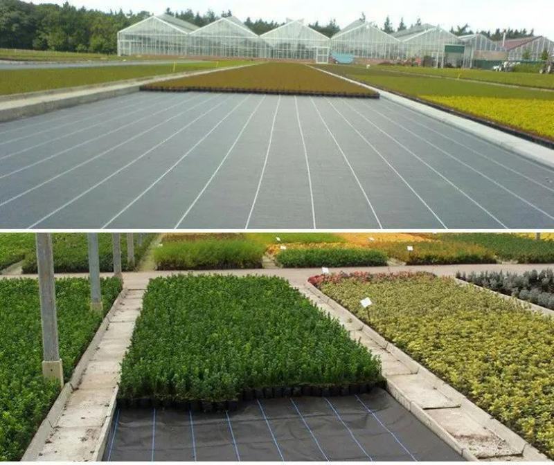防草布除草布厂家直销pp农用园艺透水透气抗老化黑色地布
