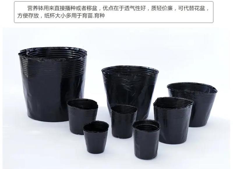 营养钵树苗种植营养袋育苗钵营养杯黑色塑料软花盆简易加厚