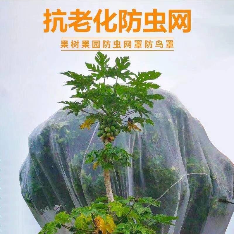 防虫网大棚专用蔬菜果树农用养猪场防蚊网防苍蝇网养殖围网