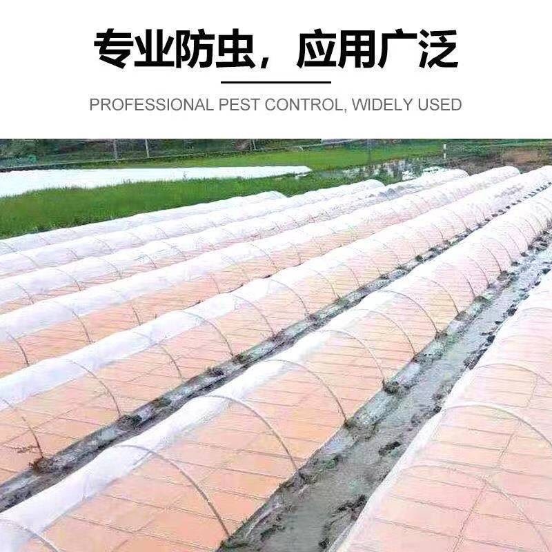 防虫网大棚专用蔬菜果树农用养猪场防蚊网防苍蝇网养殖围网