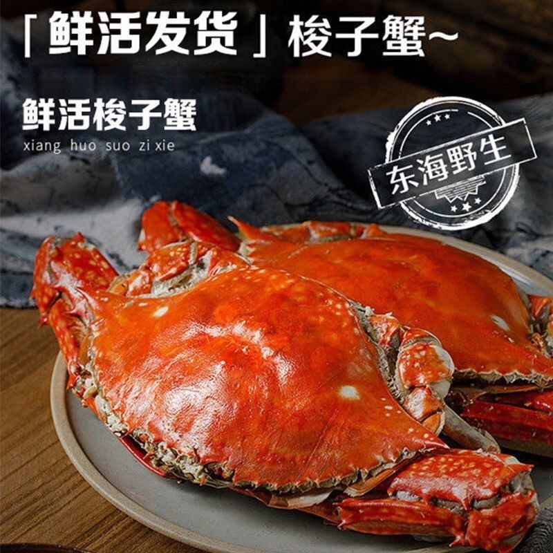 鲜活速冻梭子蟹，海蟹公蟹母蟹二母蟹海鲜呛蟹