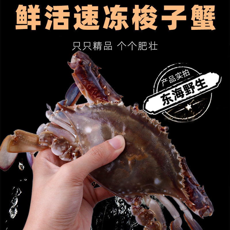 鲜活速冻梭子蟹，海蟹公蟹母蟹二母蟹海鲜呛蟹
