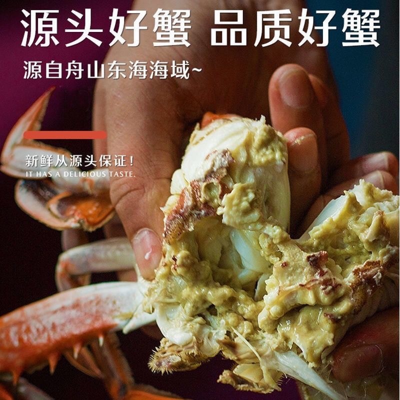 鲜活速冻梭子蟹，海蟹公蟹母蟹二母蟹海鲜呛蟹