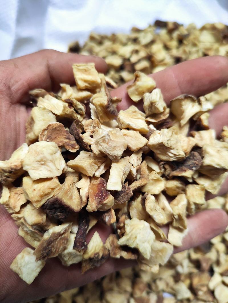 点滴园菊苣根菊苣籽货源充足稳定