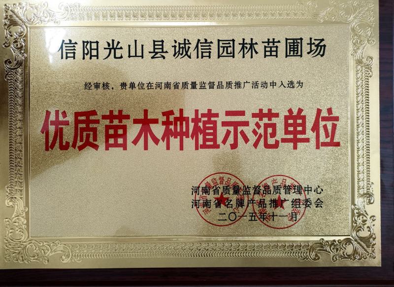 南天竹，红天竹，工程苗，红火焰，自产自销