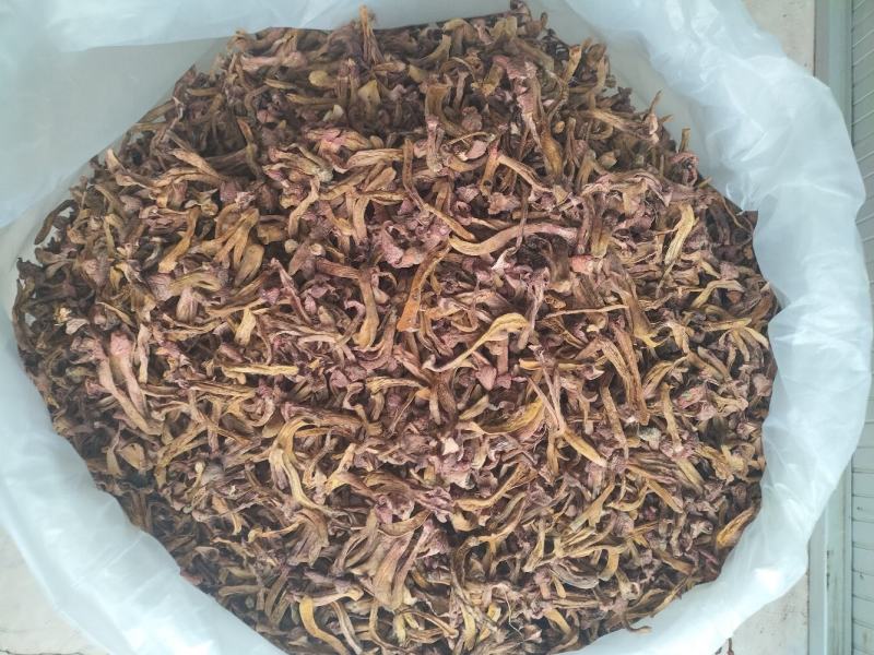 承德产区野生菌一手批发松树散花瓣
