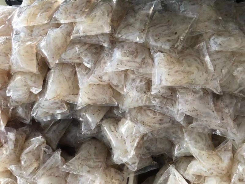 精品盐渍海蜇头礼盒，团购微商电商爆品推荐