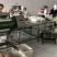 精品盐渍海蜇头礼盒，团购微商电商爆品推荐