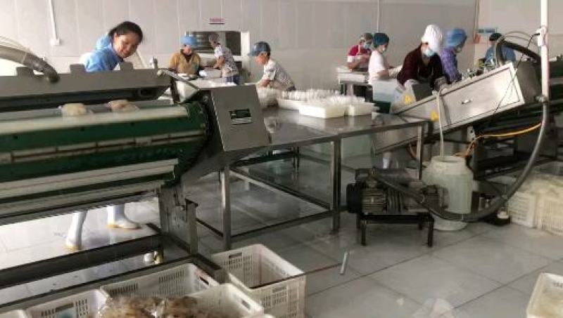 精品盐渍海蜇头礼盒，团购微商电商爆品推荐