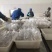 精品盐渍海蜇头礼盒，团购微商电商爆品推荐