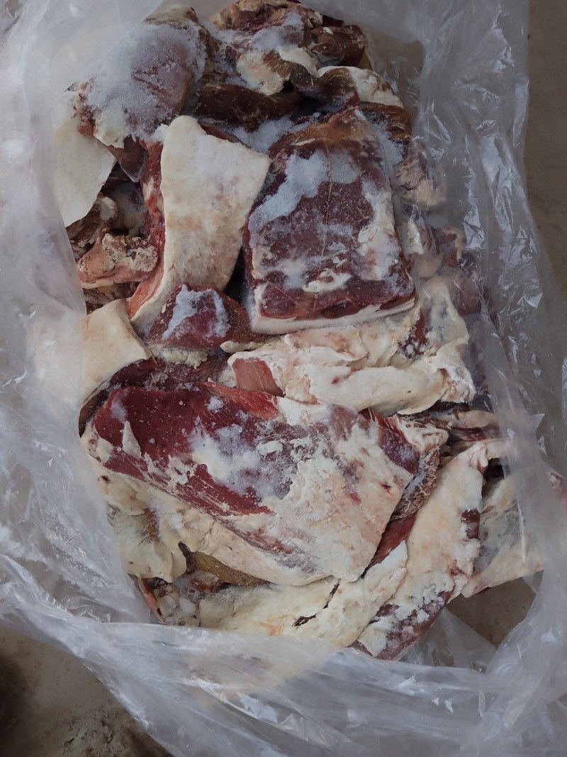 牦牛肉四分体，新鲜冷冻都有！