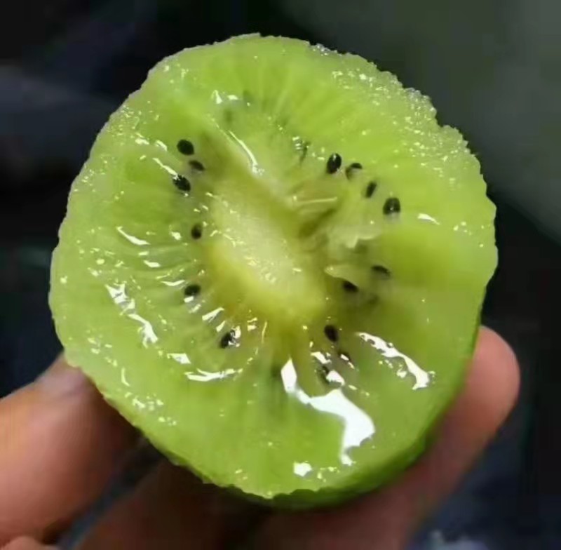 徐香猕猴桃