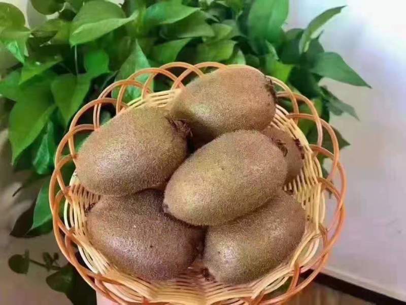 徐香猕猴桃