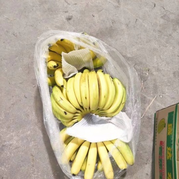 香蕉