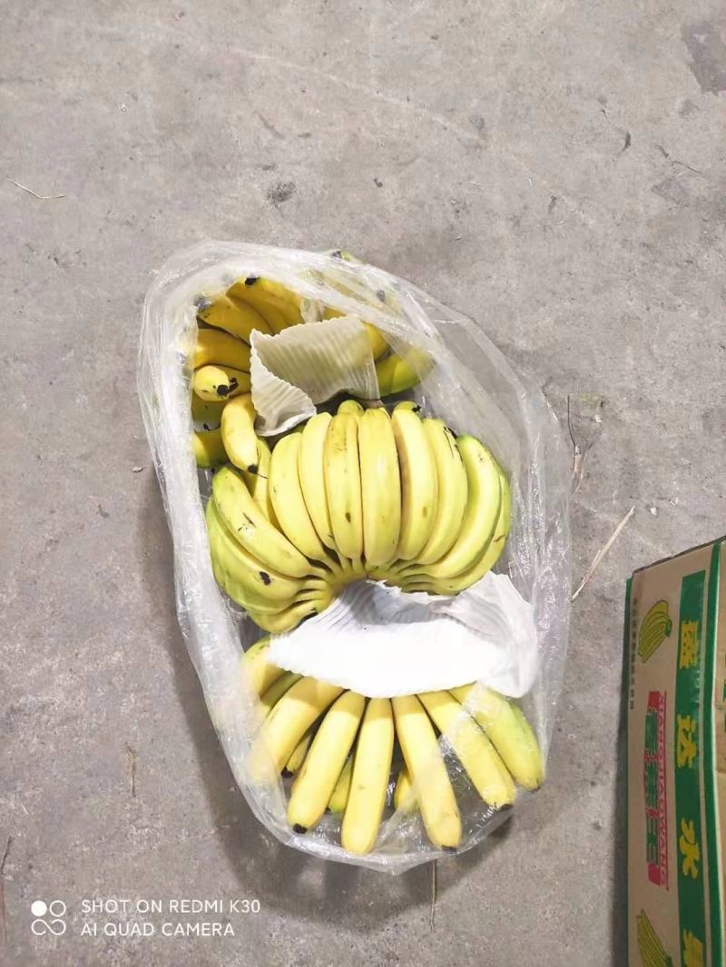 香蕉