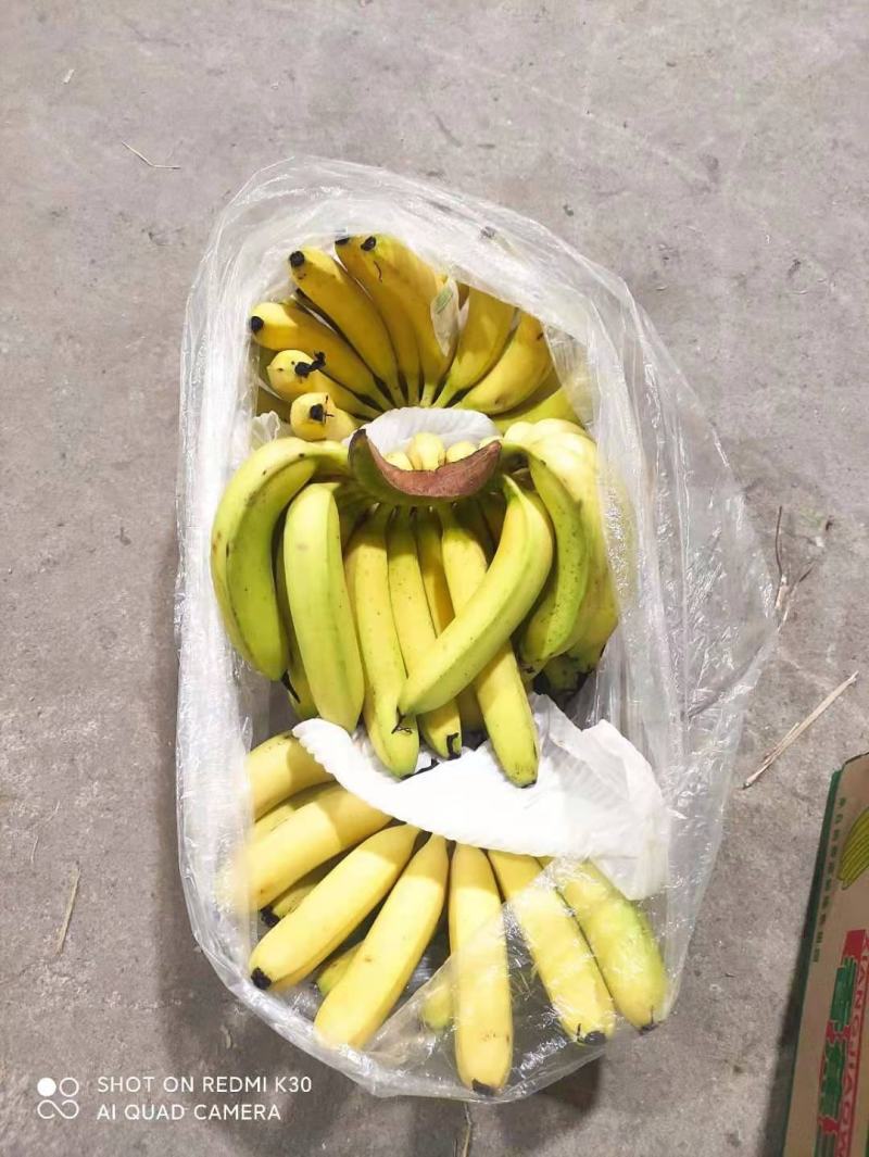 香蕉