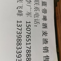 广东肇庆市蓝带啤酒有限公