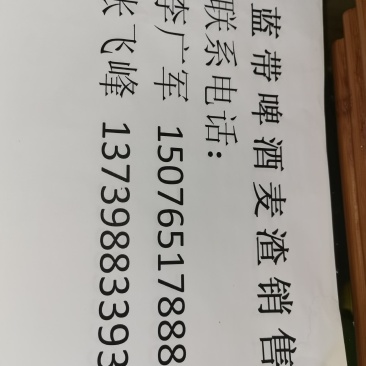 广东肇庆市蓝带啤酒有限公