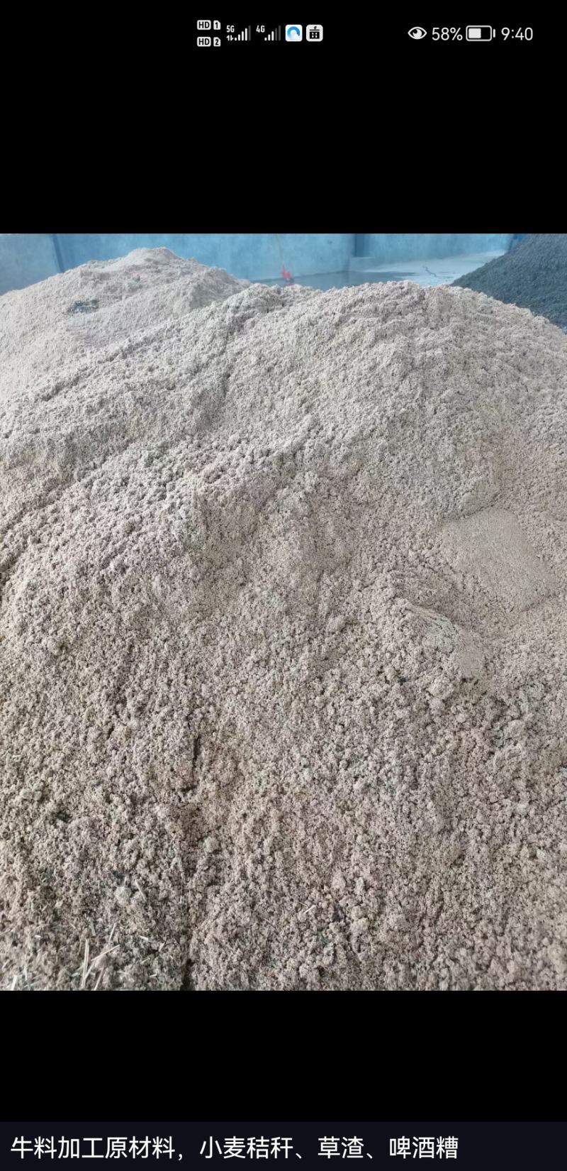 广东肇庆市蓝带啤酒有限公