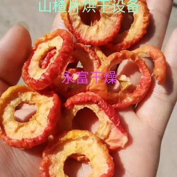 山楂片烘干机，山楂烘干机，山楂片烘干设备，山楂片烤房烘干