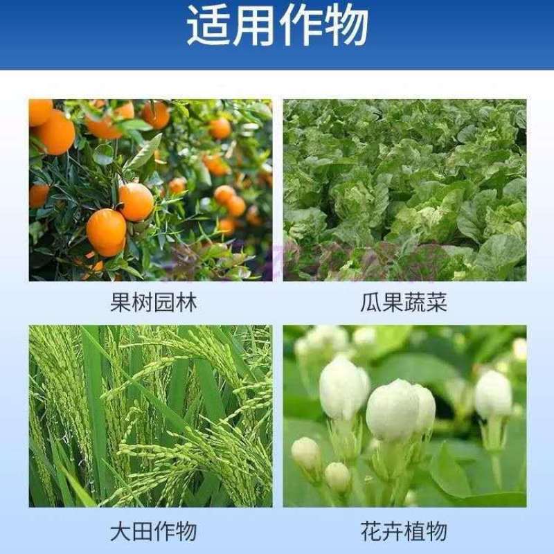 代森锰锌杀菌剂霜霉病叶斑病白粉病蔬菜果树杀菌剂广谱农药杀