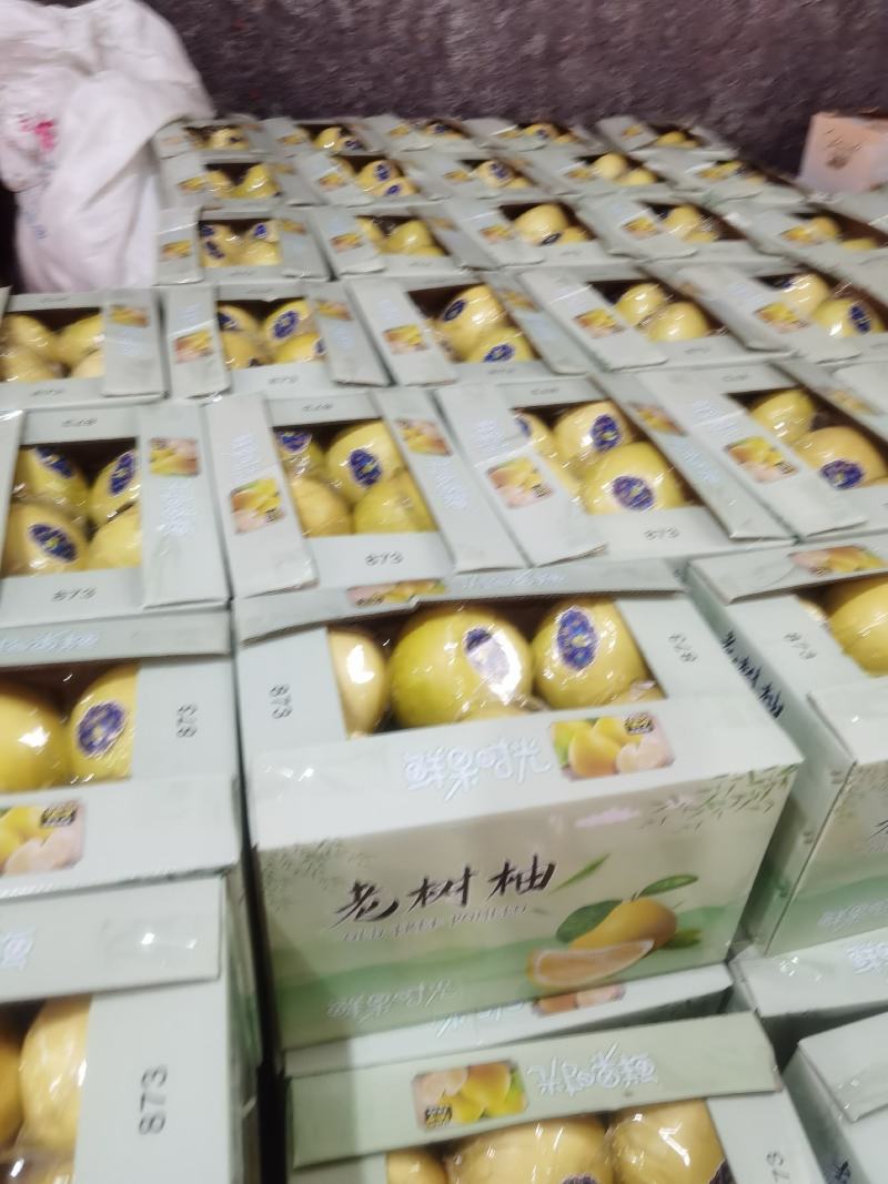 平和蜜柚