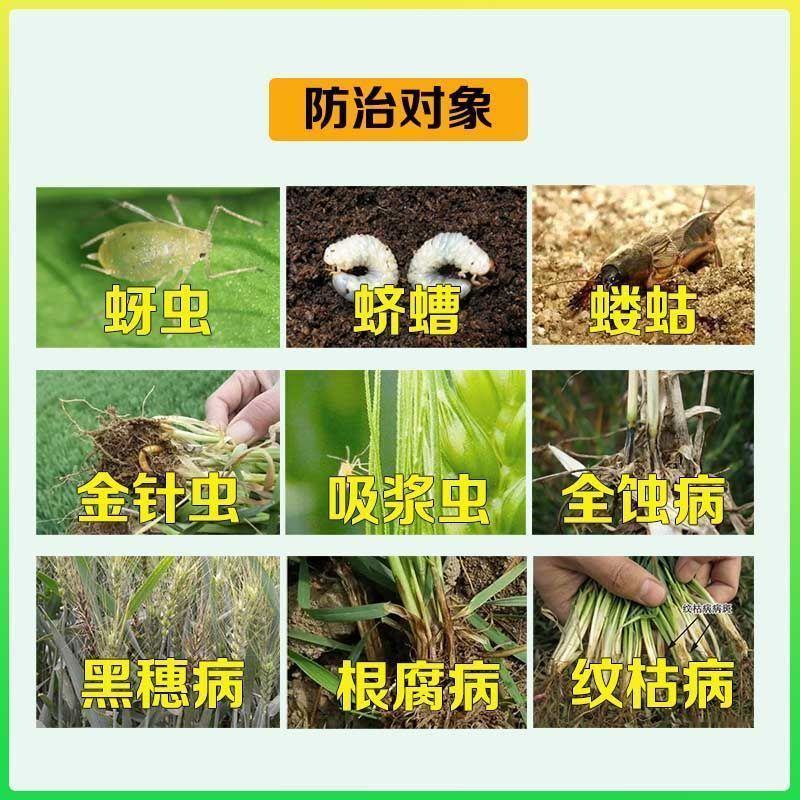 小麦拌种剂苯醚咯噻虫种子包衣剂蚜虫防虫防病小麦水稻花生拌