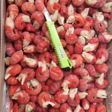 莱克龙虾尾/特级虾尾量大从优质量保障对接全国