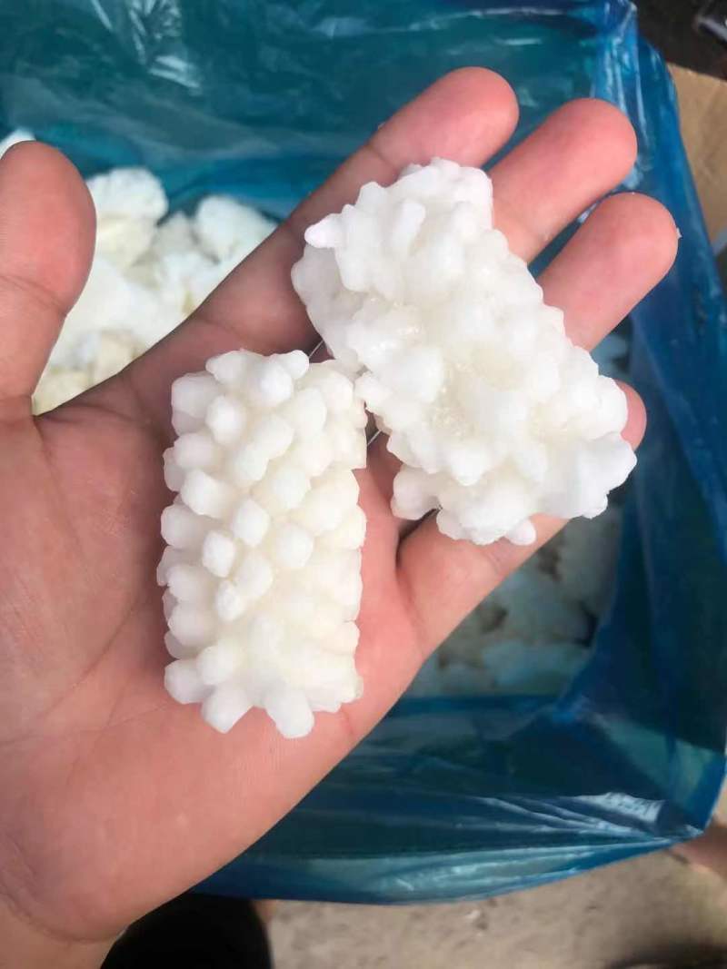 残目鱼花，食堂客户看过来