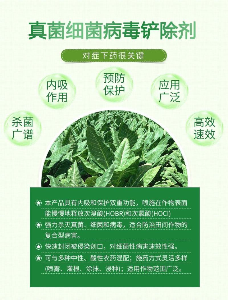 50%氯溴异氰尿酸真菌细菌病毒根腐病软腐病疑难病害杀菌剂