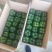 辽宁锦州北镇太空椒冷棚甜椒大量上市，皮毛亮，