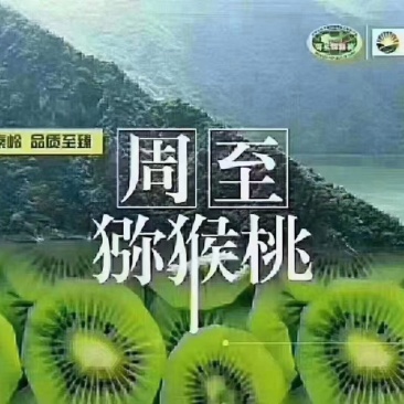 自己家里面种的翠香猕猴桃